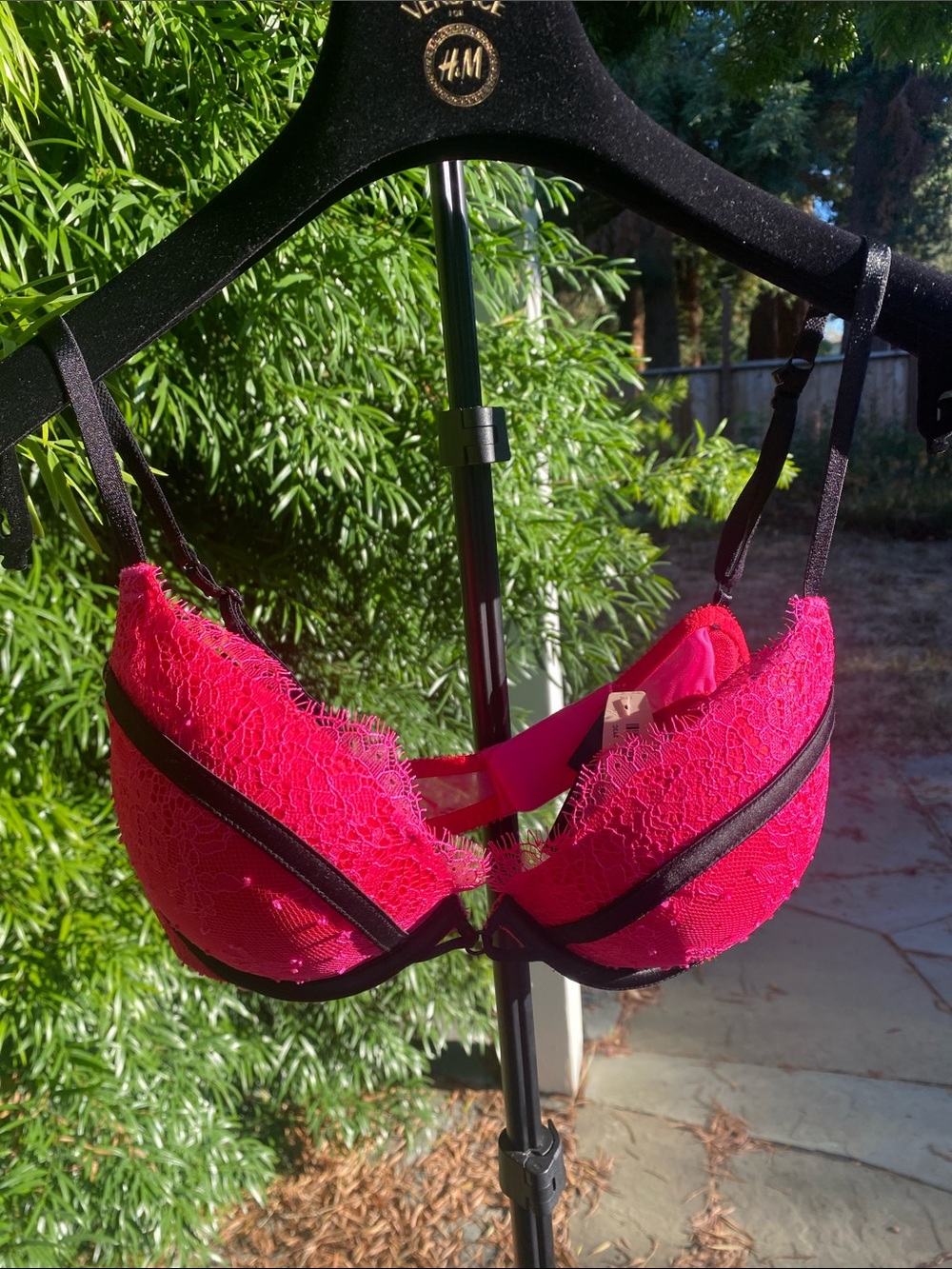 Victoria’s Secret Pink Lace Push-Up Bra with Black Trim